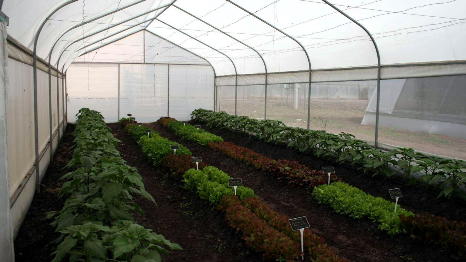 Fabrica De Plásticos Para Invernaderos En Bogotá Fabrica De Plásticos Para Invernaderos En Bogotá